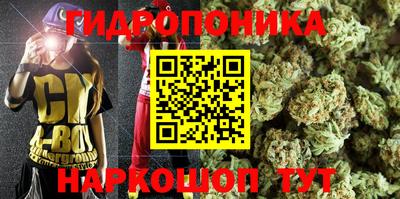 прущий лед Пугачёв