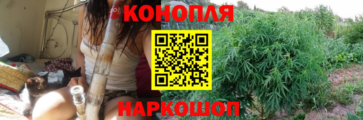 Бошки Шишки тримм  Вход с VPN  Подольск  Марихуана OG Kush  Бошки Шишки тримм  Шишки марихуана ГИДРОПОН 